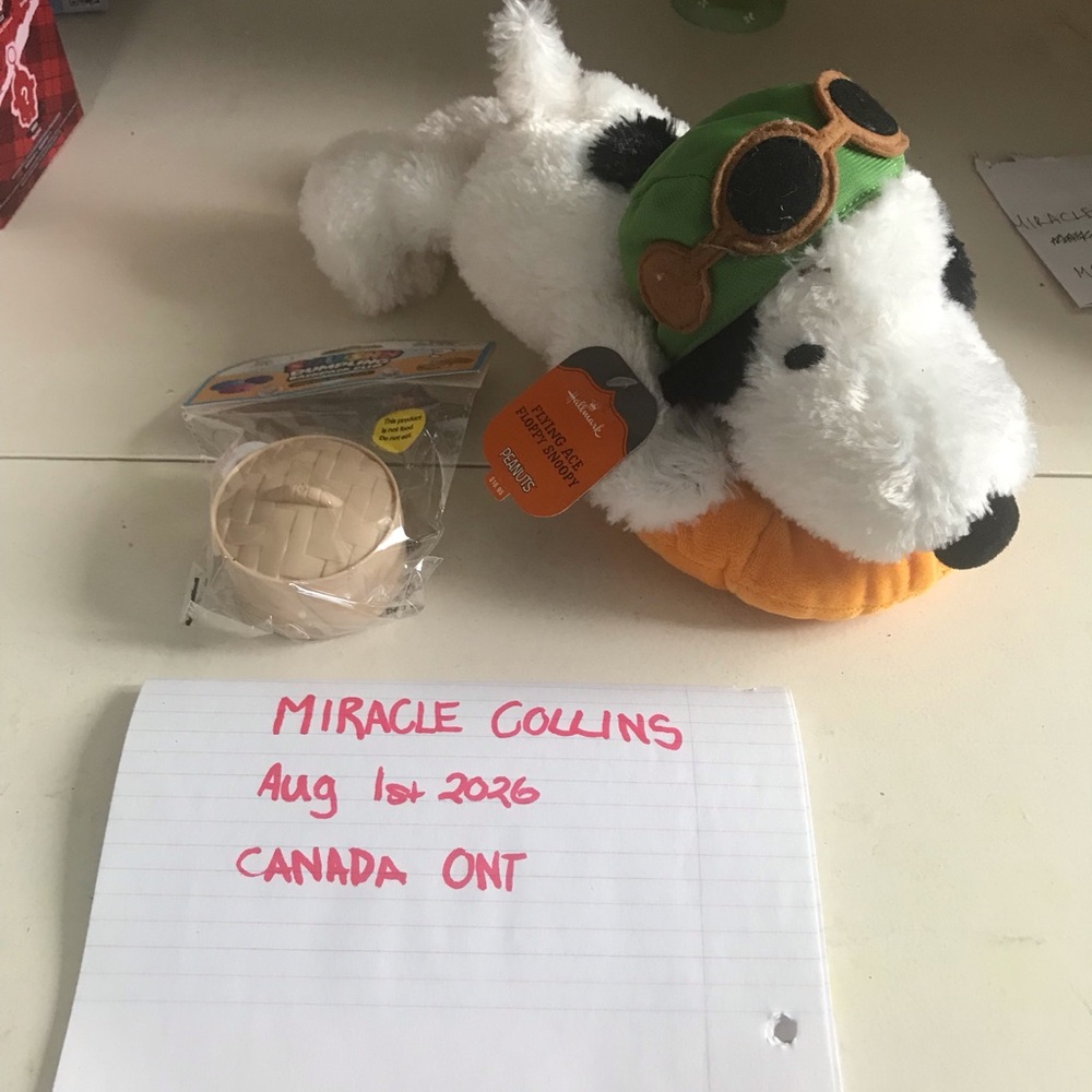 Peanuts Plush Snoopy Pilot Dog Plush and dumpling squish